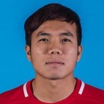 H. Zhu