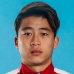 H. Gao