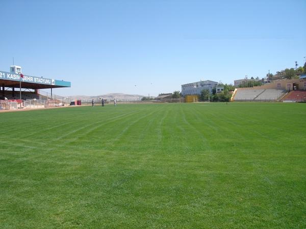 stadium photo