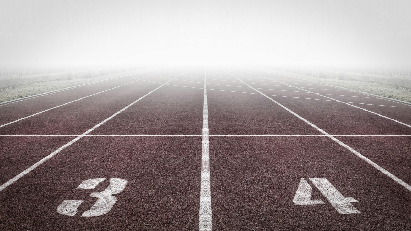 The Role of AI and Machine Learning in Sports Betting
