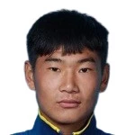 J. Gao